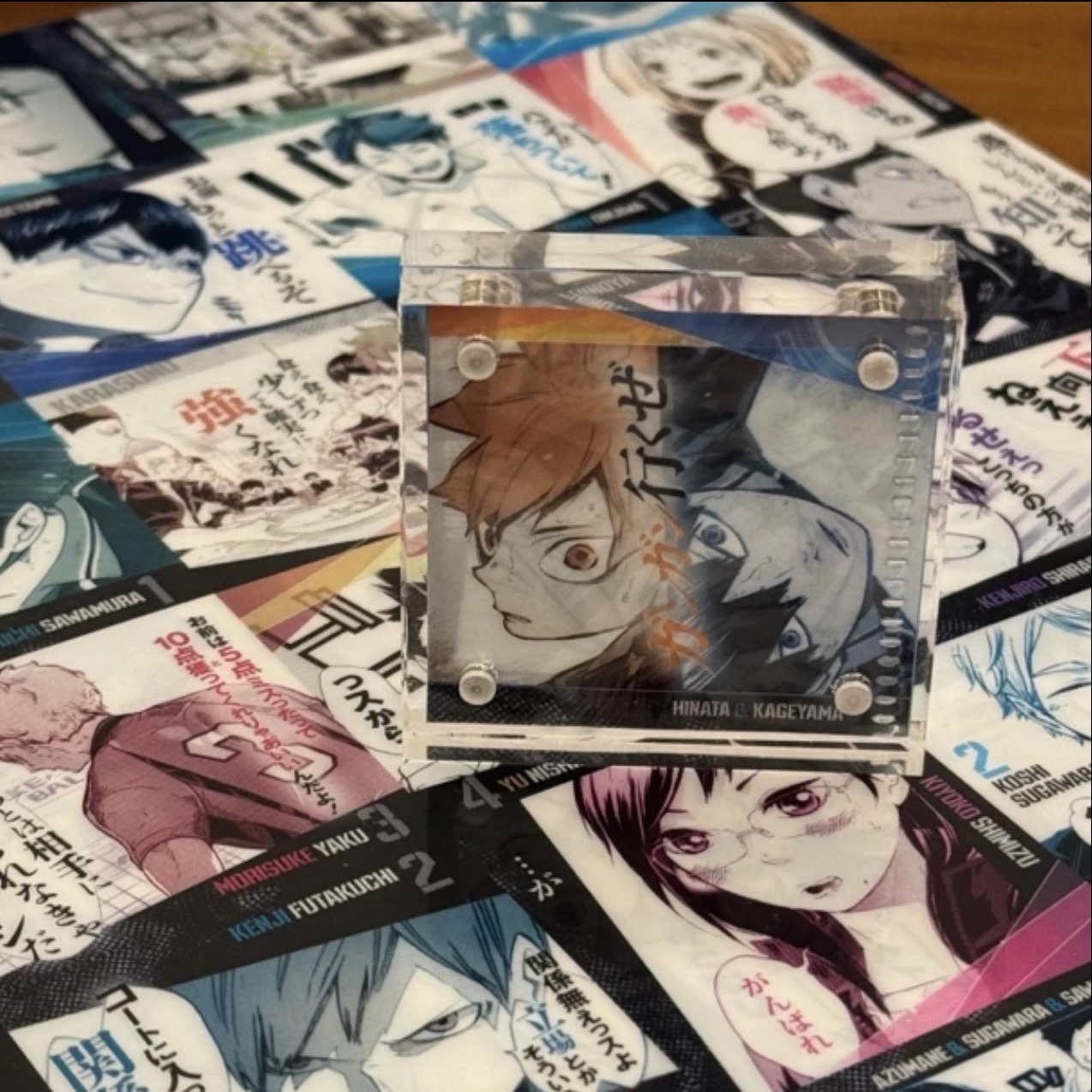 【排球少年】文件夹切页 日谷 