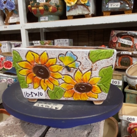 【闪购商品】          