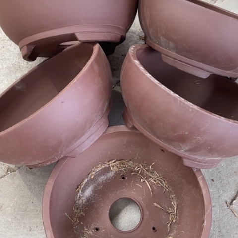 紫砂花盆110-5。 30-12.5