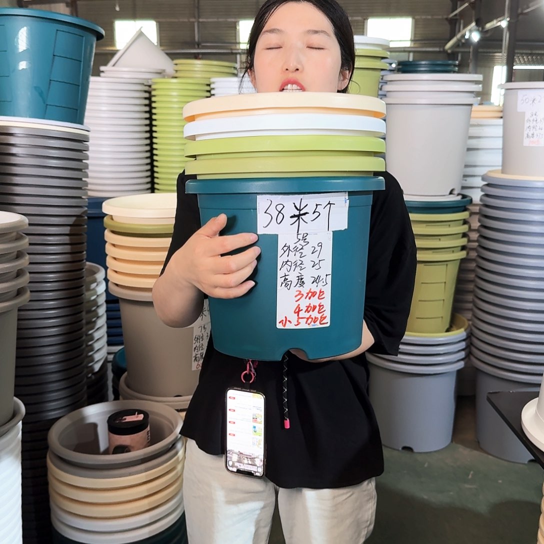 微瑕3#无拖米黄6个