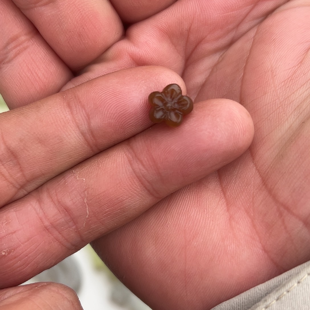 Y***N和田玉未镶嵌颈饰