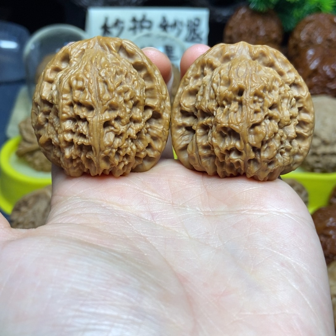 核桃南疆全品新果41尺2