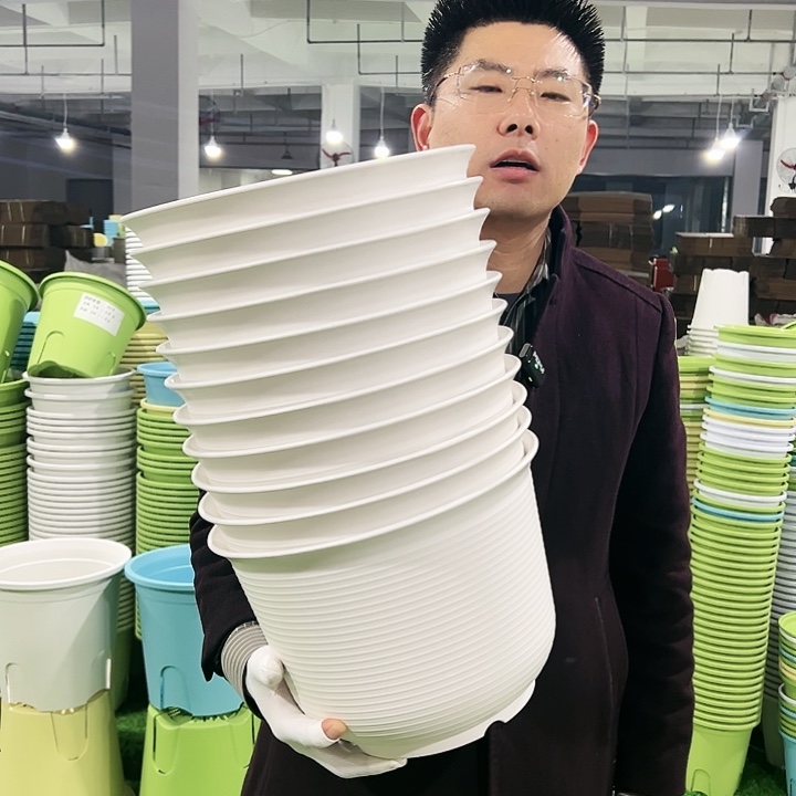 正品矮陶口30高21白色5只无托