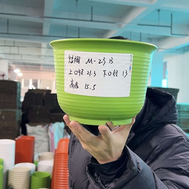 正品矮陶口21高15果绿无托8只