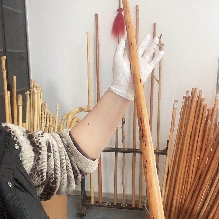 山***树秦岭山脉的红荀子木