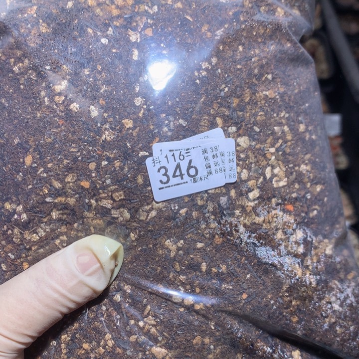 精品生石花116.346