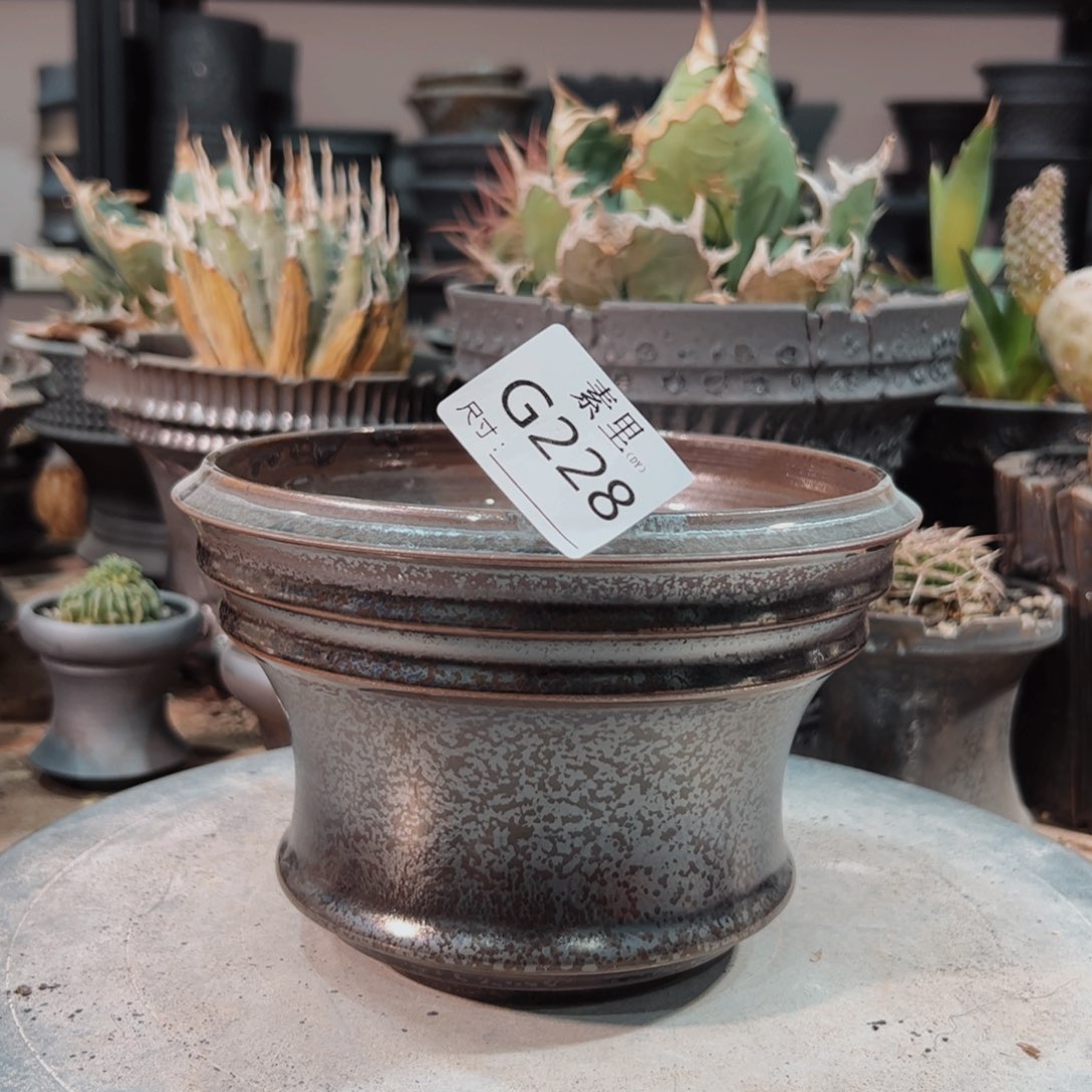 景德镇手工素里内口14.5高11