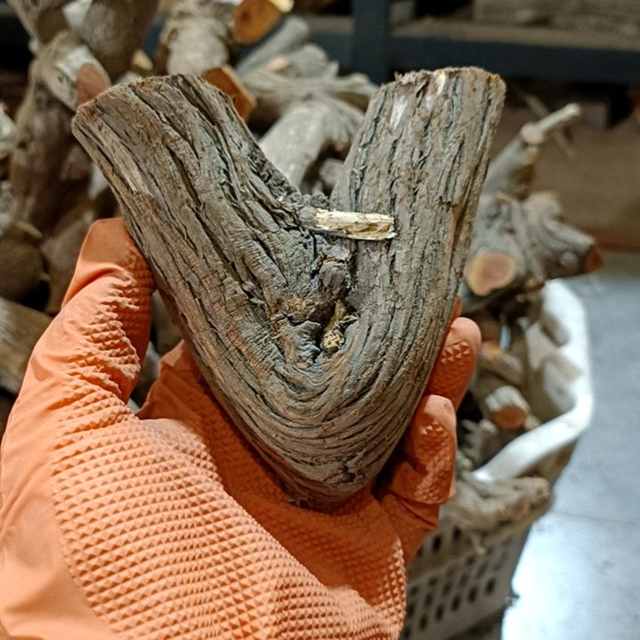 沧***道香榧木崖柏随行毛料毛料毛料