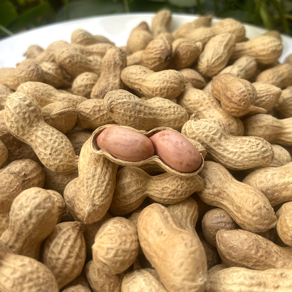 新鲜花生 小籽花生 农家自种 祁东特产馆 500g/袋