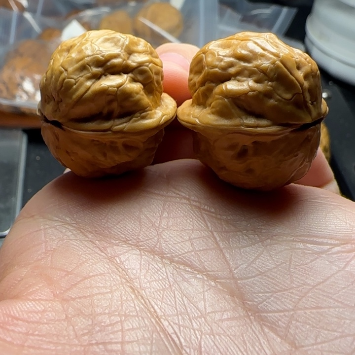 文玩核桃把件铁鹦鹉29尺