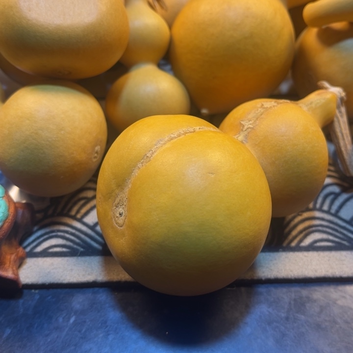 葫芦葫芦葫芦葫芦