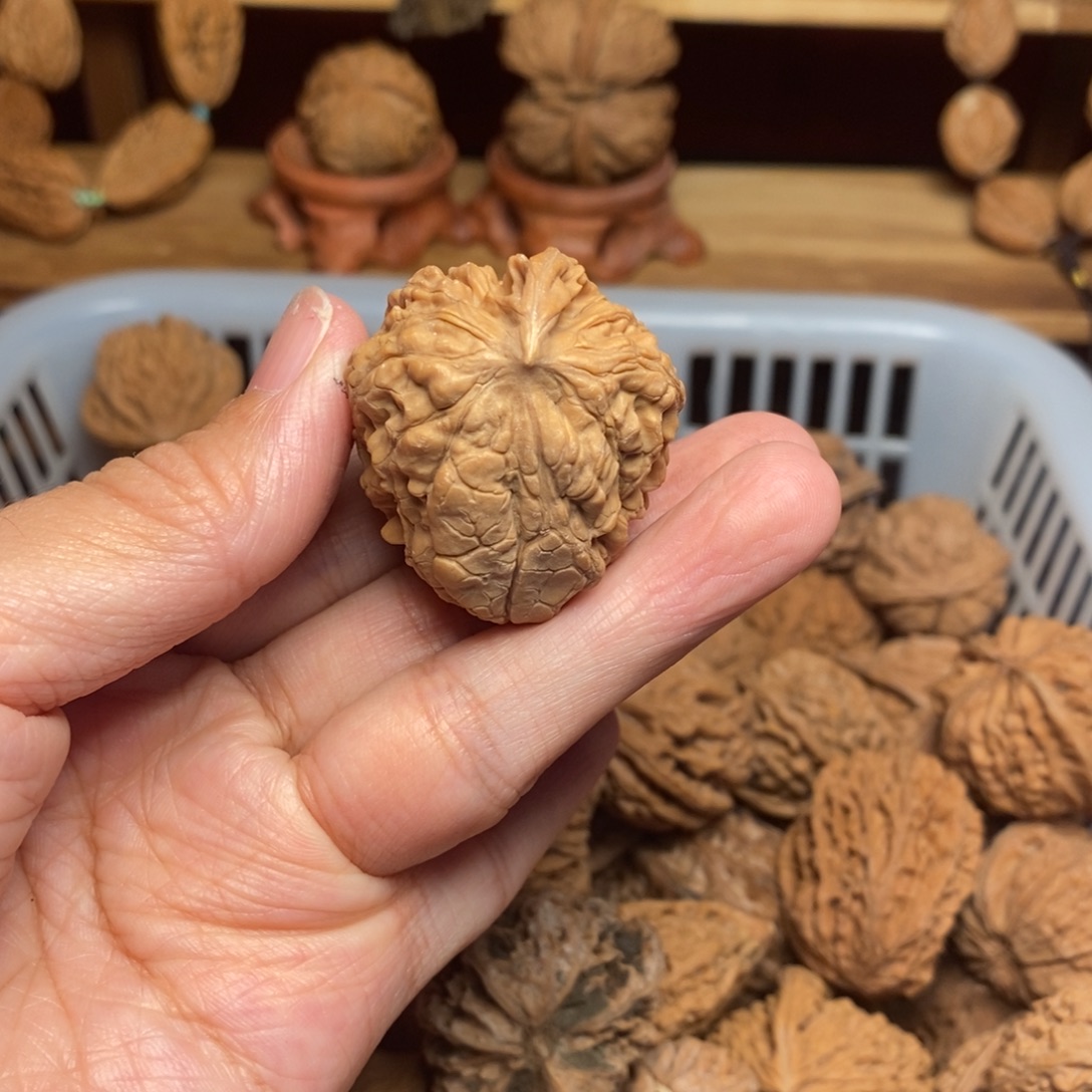 趋***正把件文玩核桃尺寸