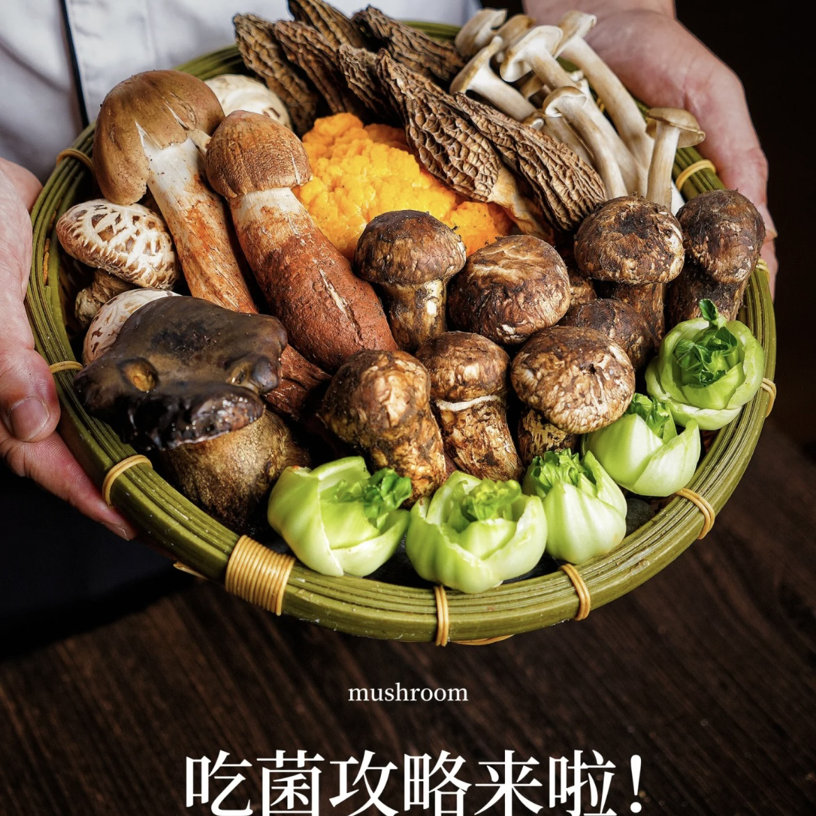 云南新鲜食用野生菌 杂菌代购专拍链接（一物一拍，代购不包售后）