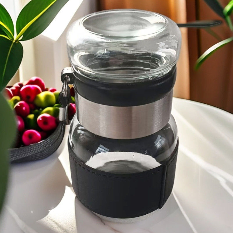 玻璃杯茶水分离杯子随手小杯子泡茶杯手提杯子泡茶杯茶叶杯