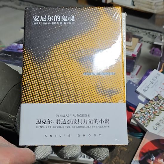 安东尼的鬼魂精装库存书