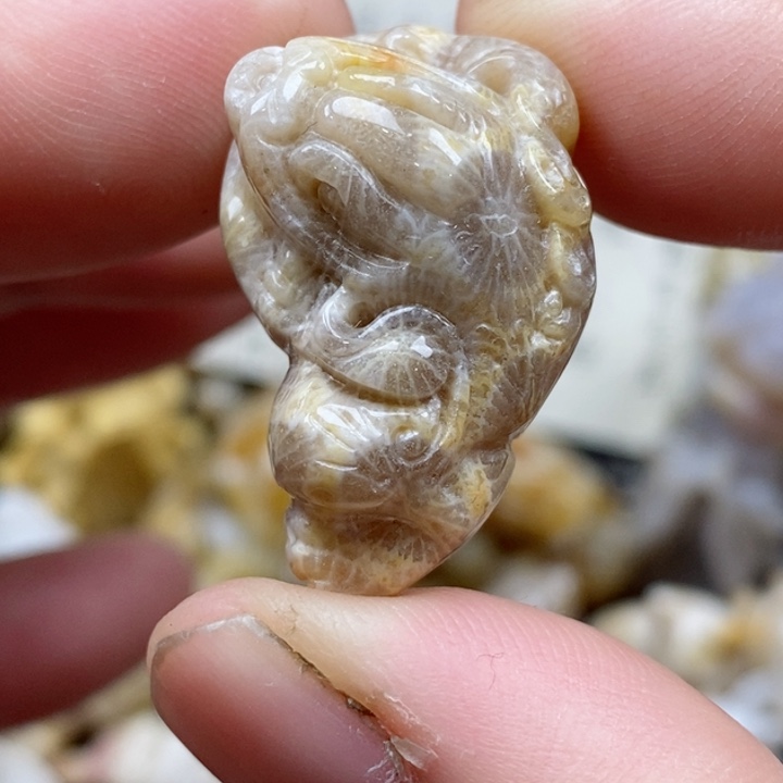 颈饰未镶嵌硅化珊瑚（珊瑚玉）小