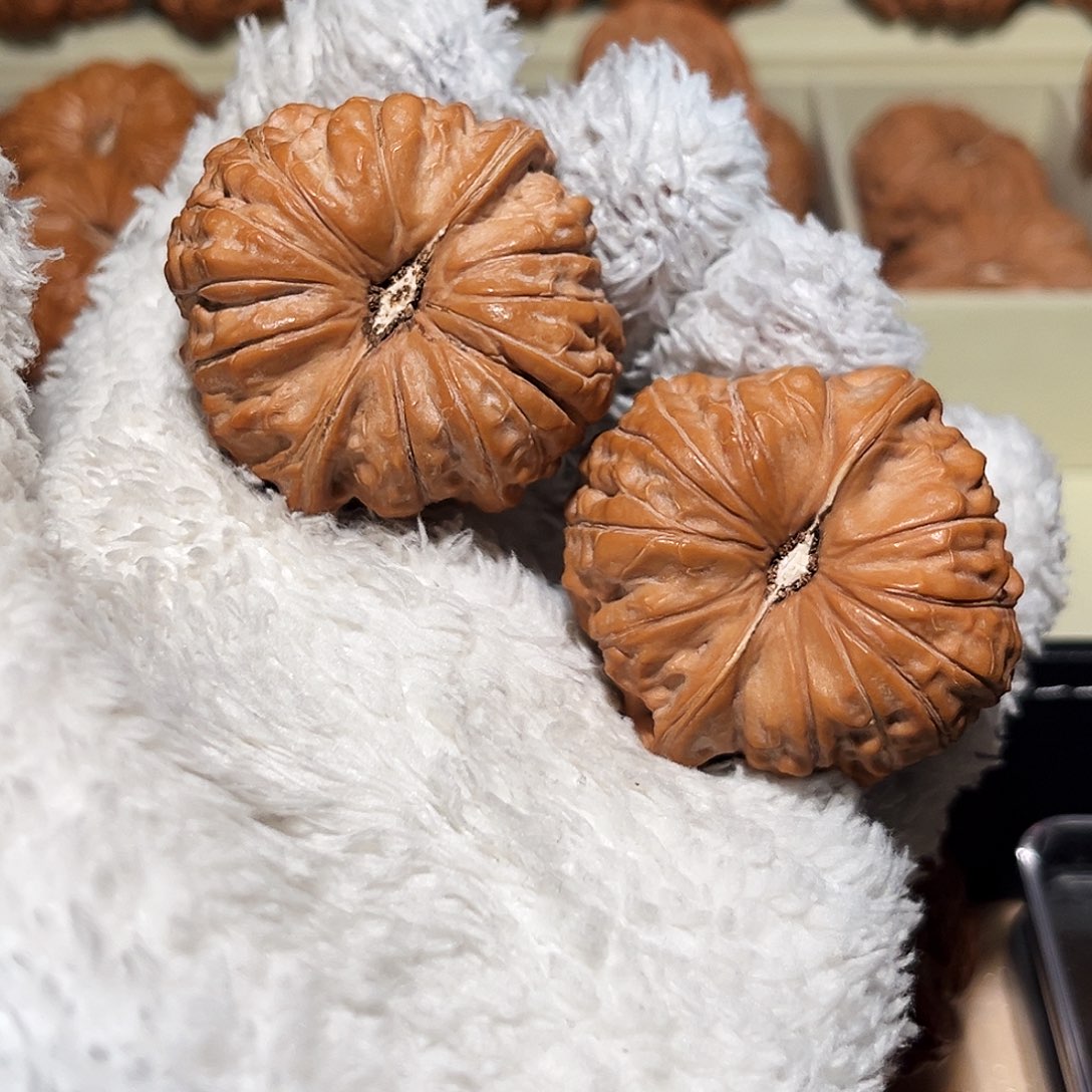 魔***魚吊坠文玩核桃南瓜  魔鬼鱼