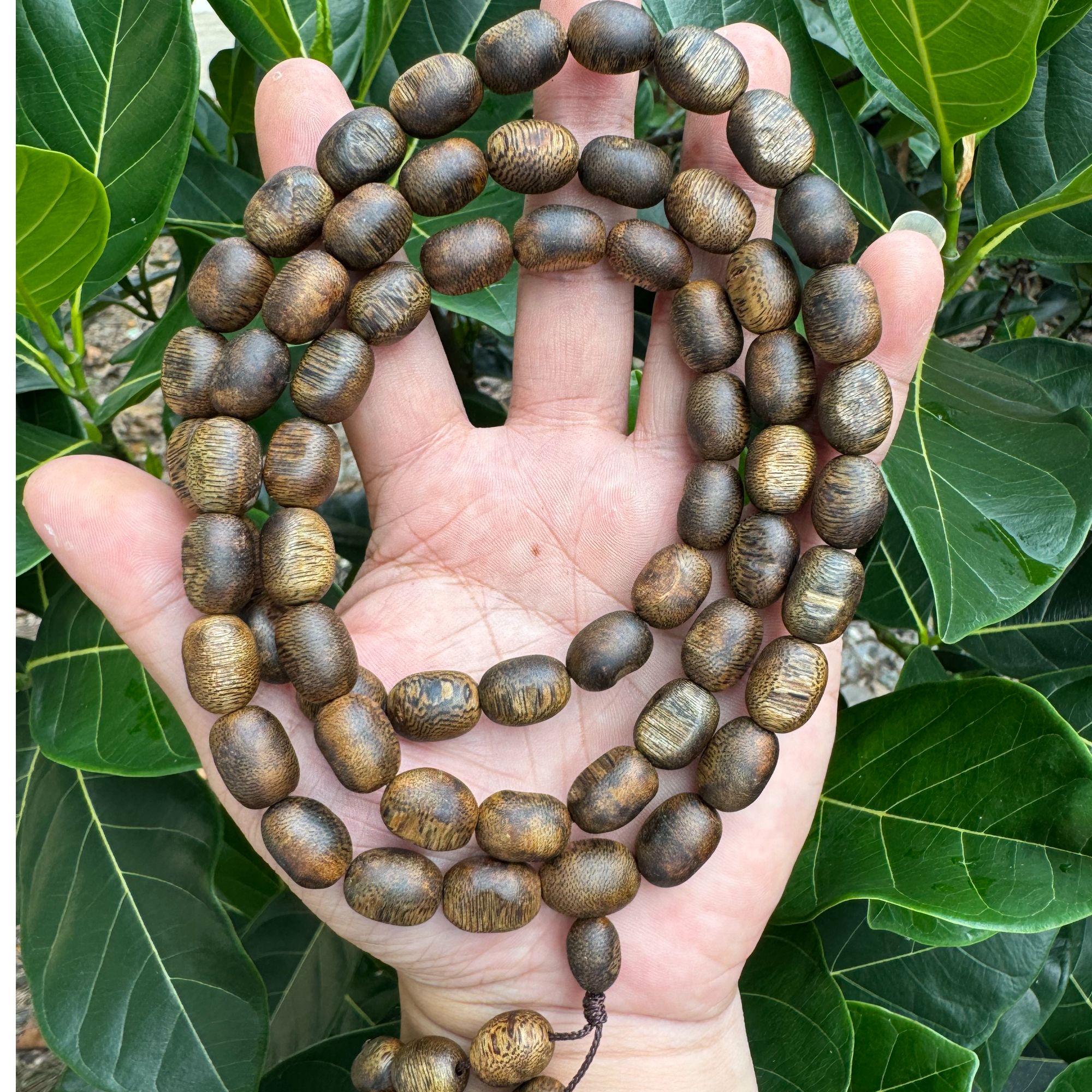 沉香手串留疤多圈8mm20克+海南奇楠棋楠多样性发一