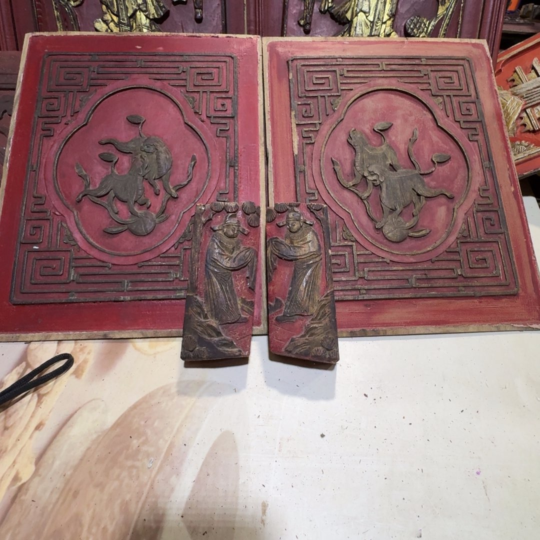 全***展香樟木是一个好地方呢啊好好看