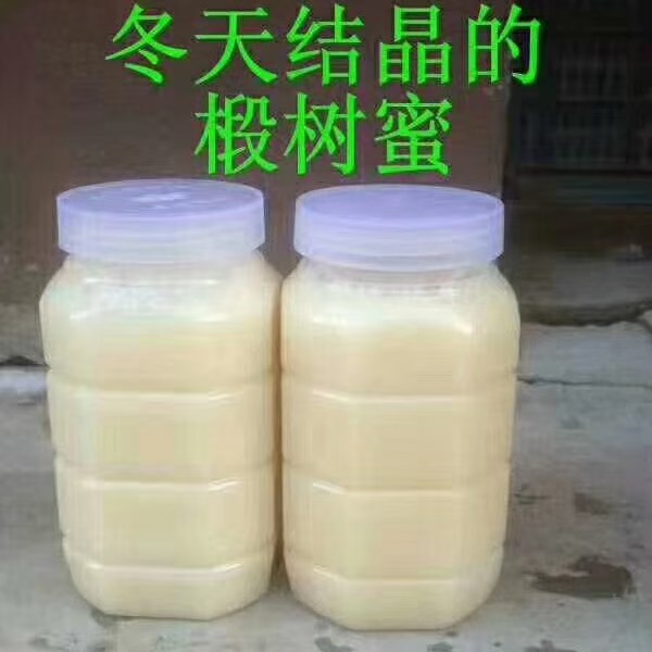 野生长白山椴树雪蜜天然成熟原蜜椴树蜜雪蜜（到手4斤）