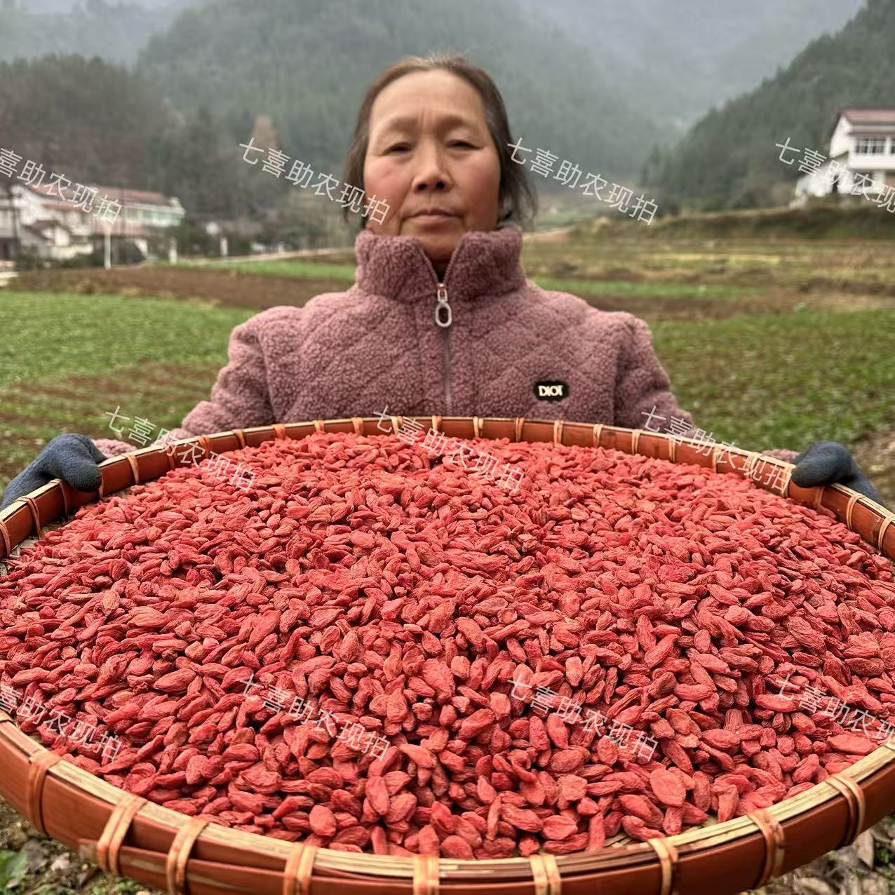 【现收枸杞】无硫泡水煲汤