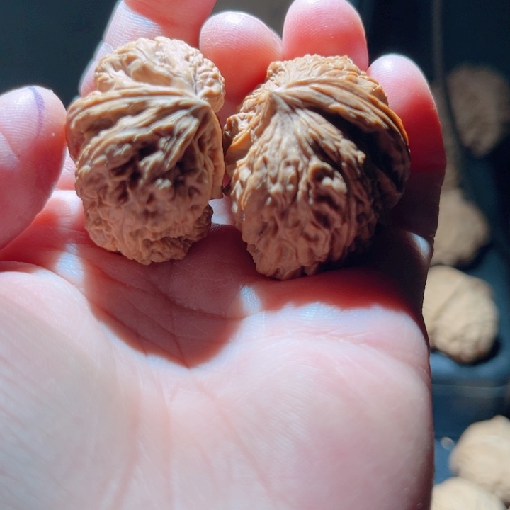 陆***n吊坠文玩核桃文玩