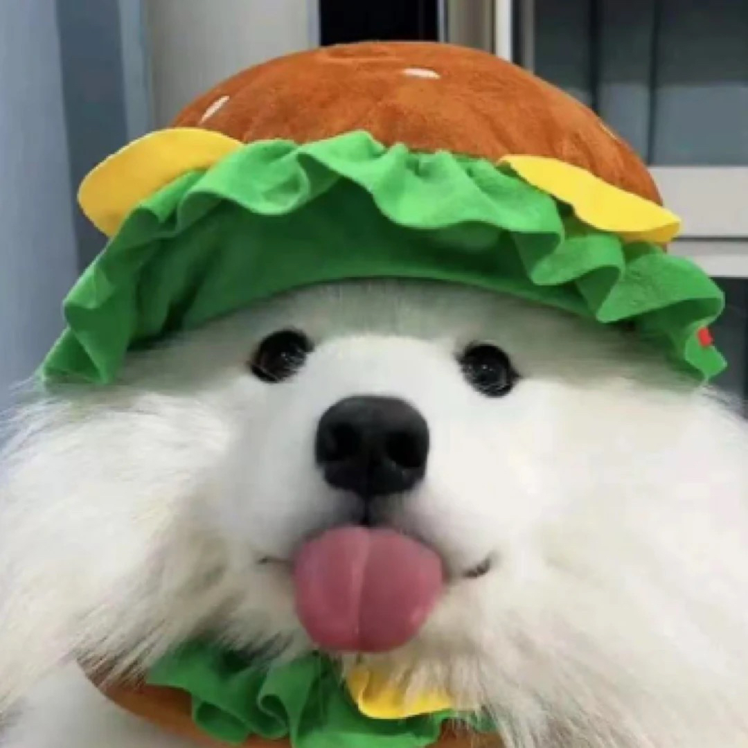 【回锅肉】宠物狗狗全款链接