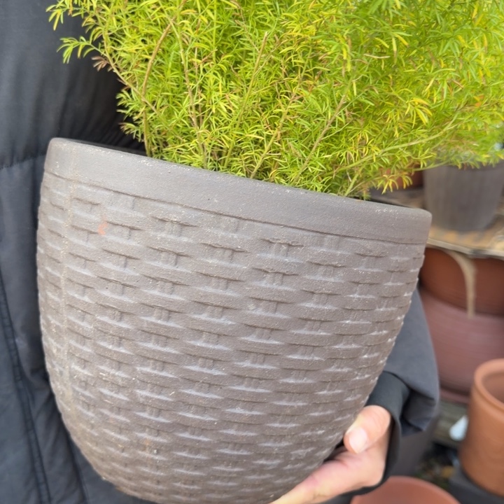 紫砂花盆口24高20 