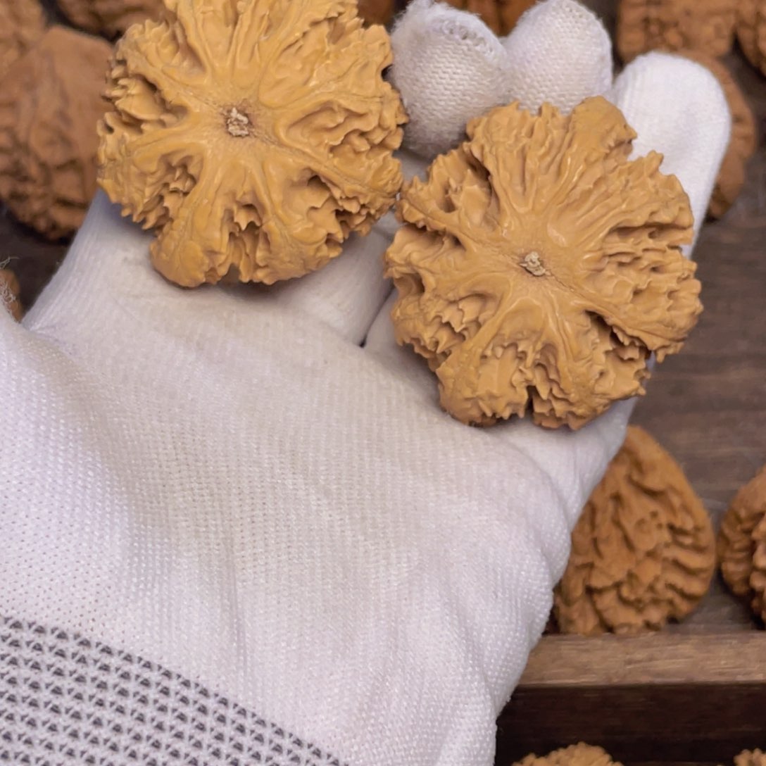 文玩核桃吊坠诺***256 秦岭灯笼野生小众