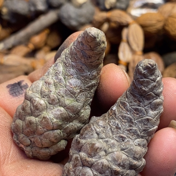 文玩核桃吊坠东北特产275