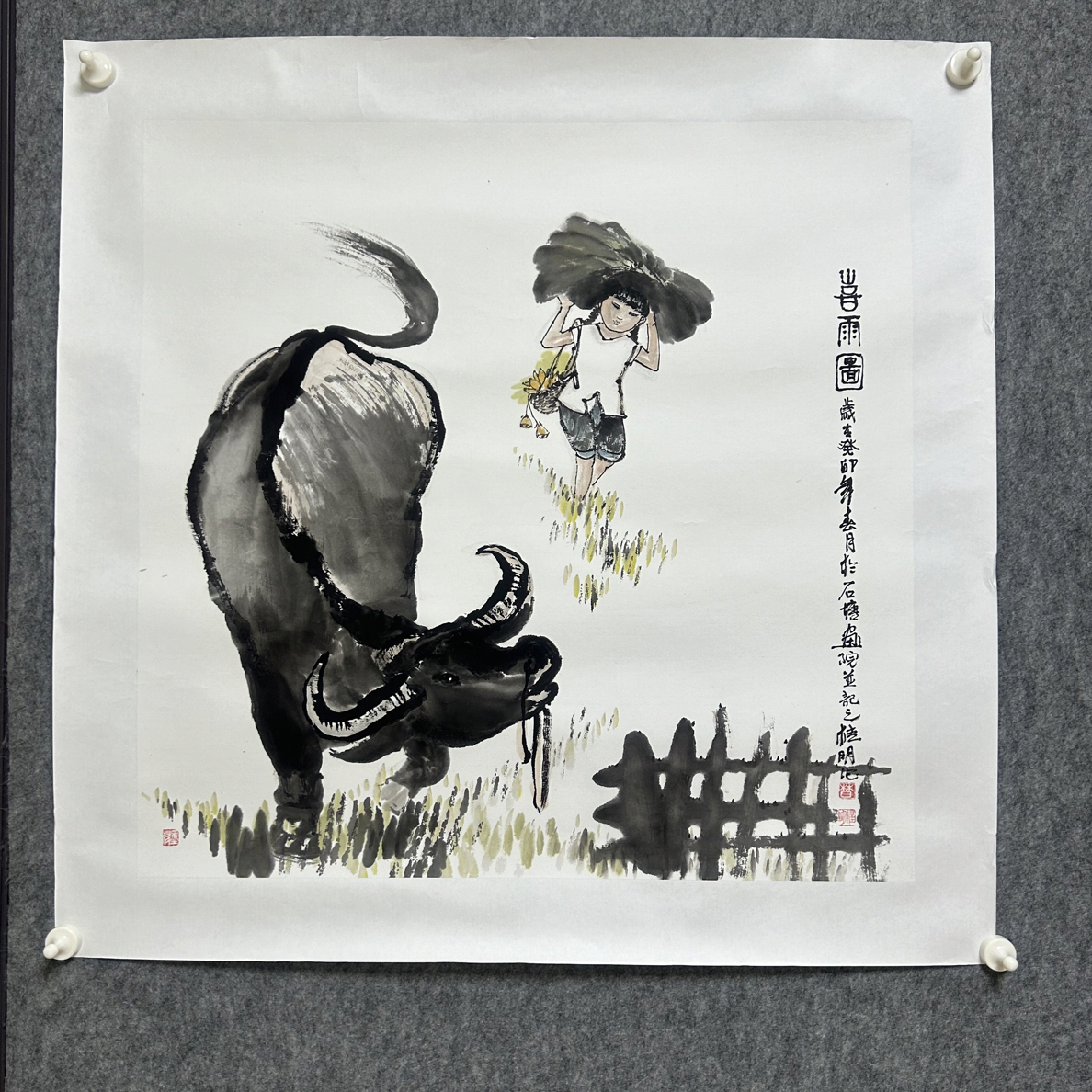 莫桂明牧牛图手绘69x69带拖底收藏证书视频合影