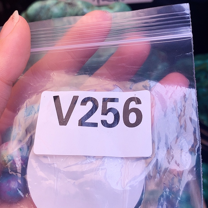 卢*泽时尚饰品首饰配件湖北发货