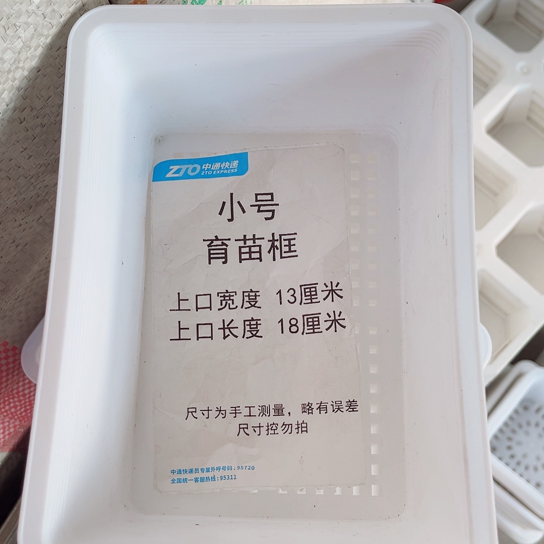 塑料小号育苗框白色10个