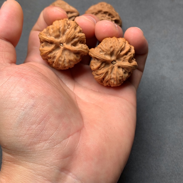 吊坠文玩核桃紫荆关野牛文玩核桃