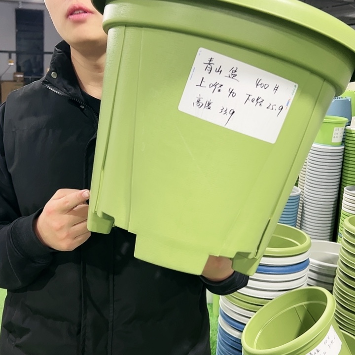 清仓青山口40高34果绿色3只无托