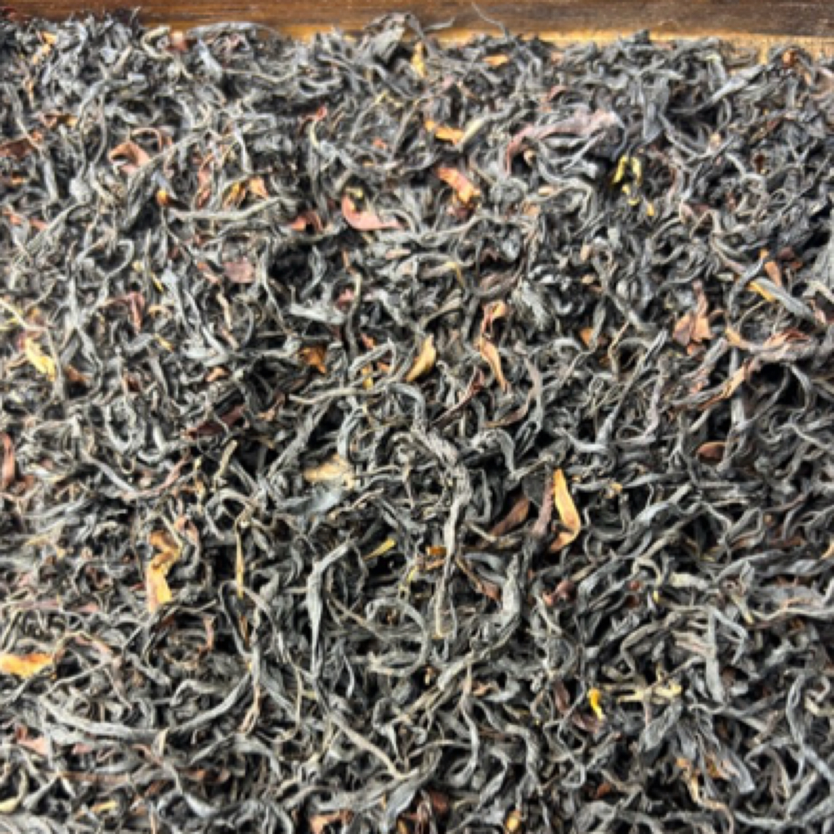 2025中春野生古树红茶（烤红）福利款