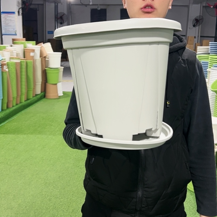 清仓青山口32高28果绿色5支带托