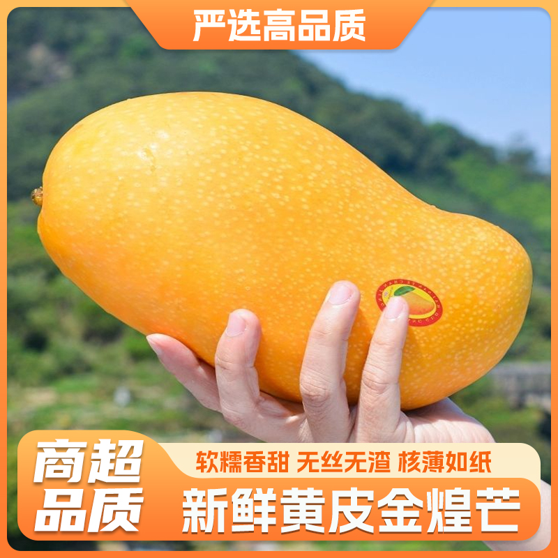 越南进口黄皮金煌芒应季水果皮薄核薄软糯香甜多汁