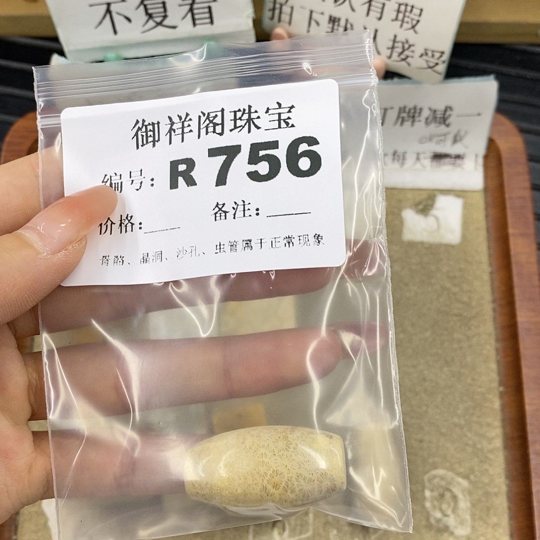 硅化珊瑚（珊瑚玉）未镶嵌颈饰清*