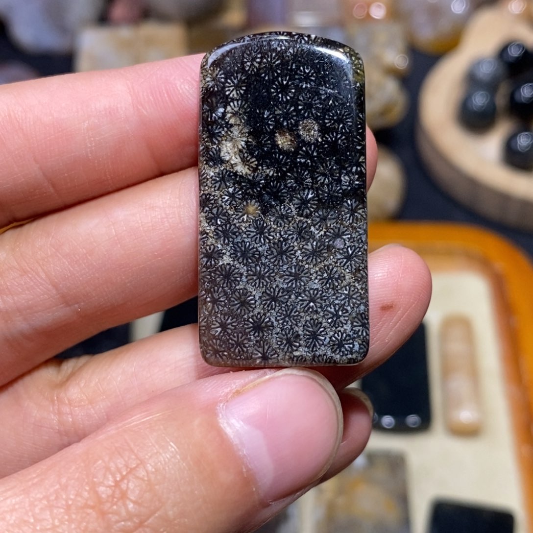 【闪购商品】硅化玉珊瑚玉未镶嵌