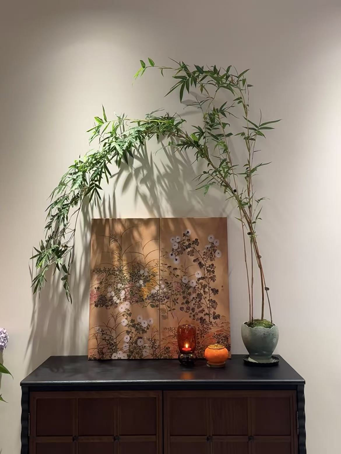 乐乐家精品观赏竹一物一拍【1号链接】