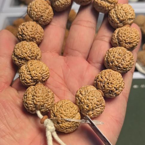 金刚菩提手串菠萝蜜大金刚手串，全品无黄，没有歪籽，板板正正