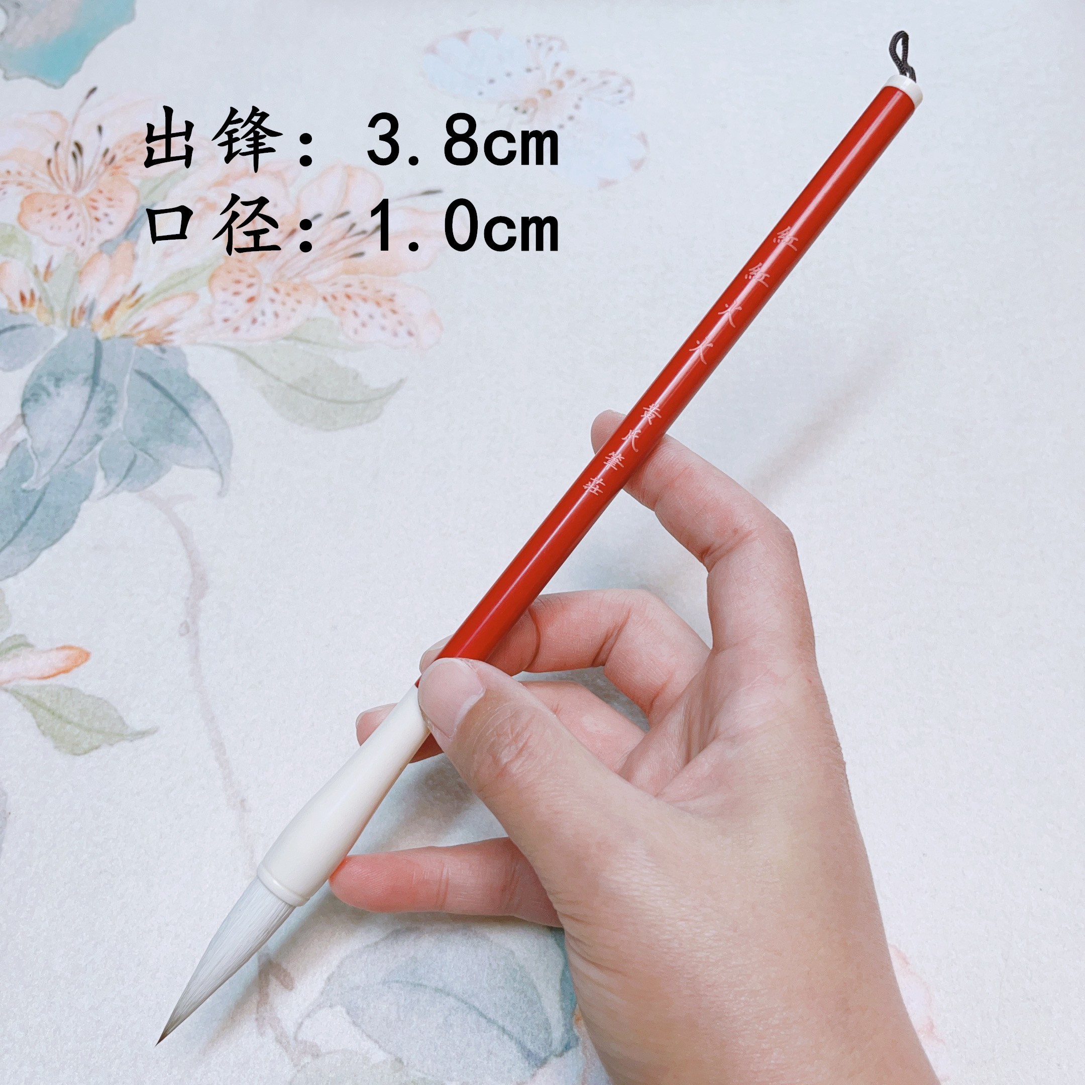 （狂欢跨年夜）红红火火兼毫中楷毛笔书写楷书行楷隶书国画牡丹花鸟