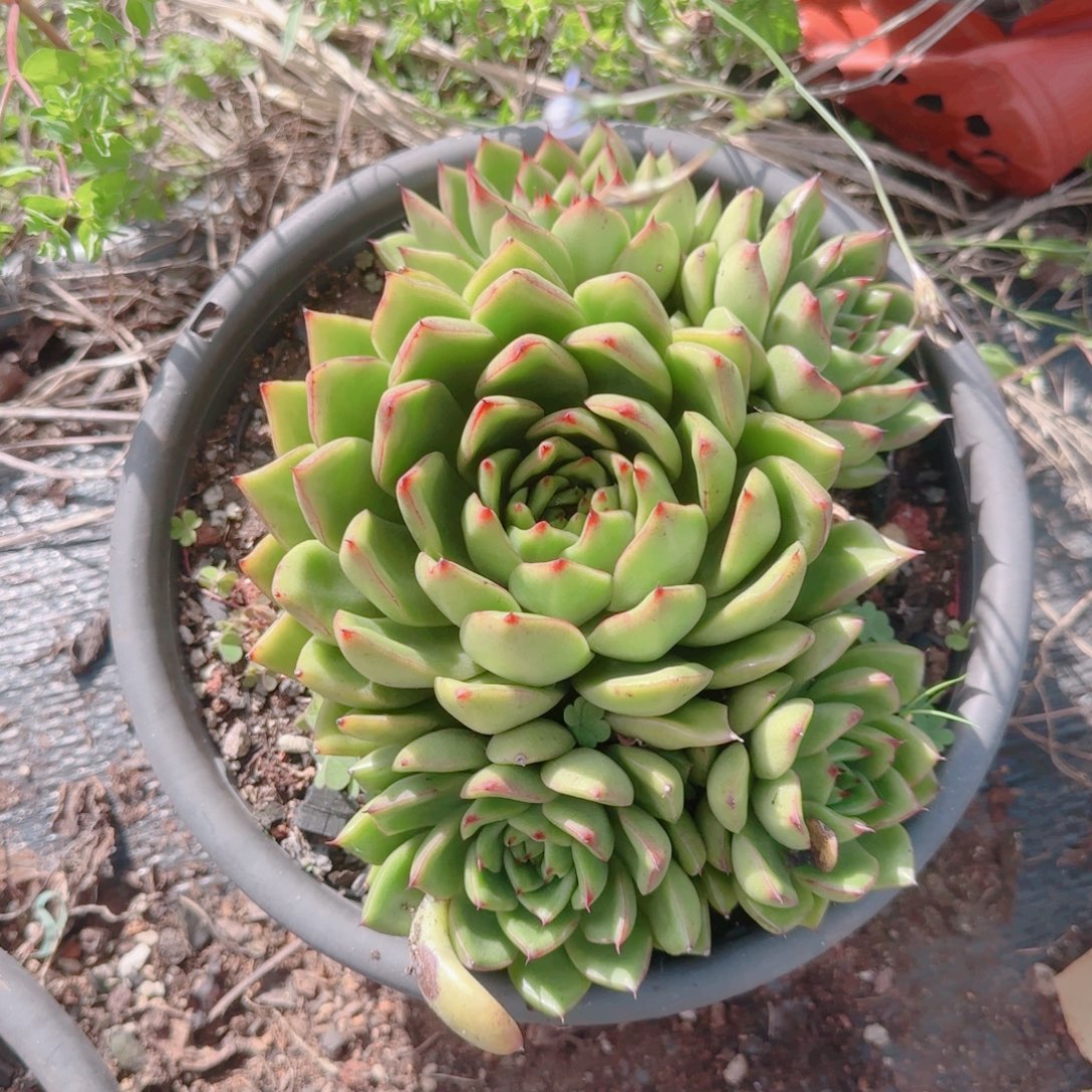 这个我就很难相信自己可以成为