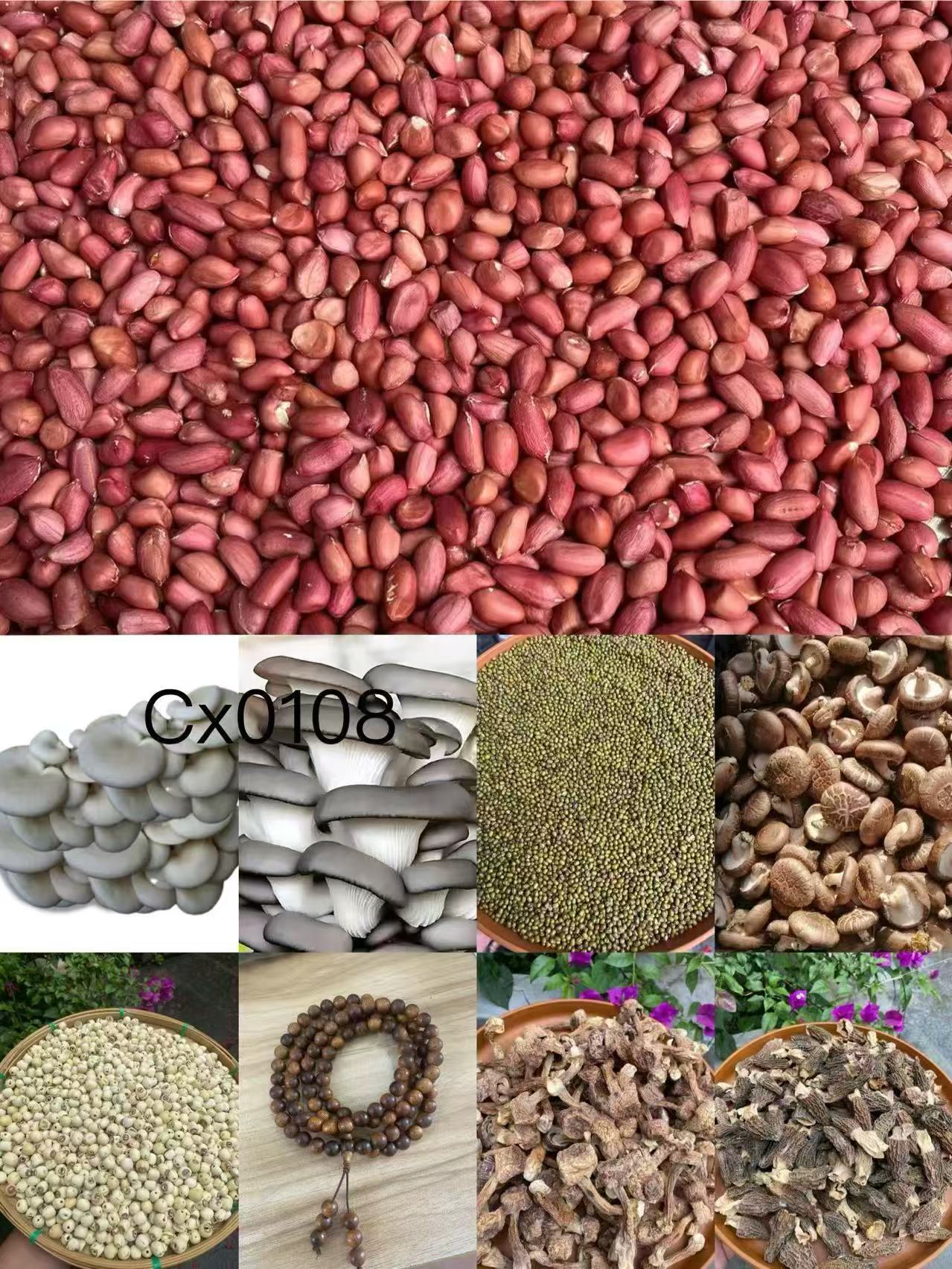 《阿浩专用土特产CX0108》多样性发货 重量40克左右