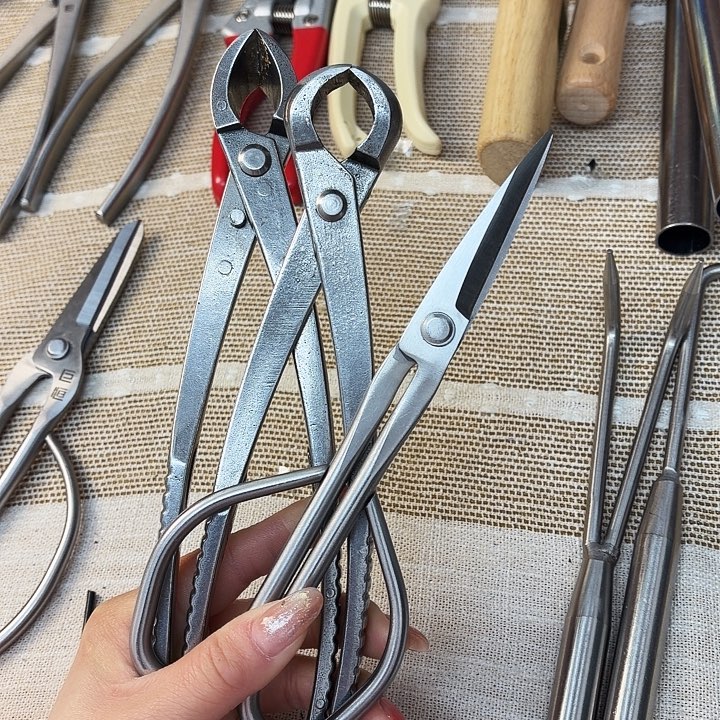 无标中号三件套➕195叶芽