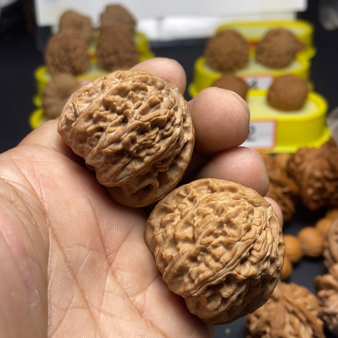 文玩核桃把件白狮子2