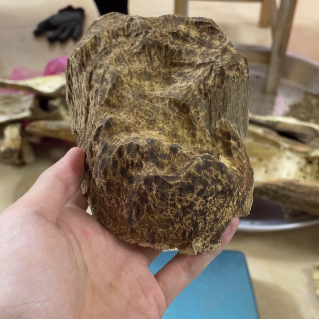 沉香沉香木制品闲**聊海南沉香172克