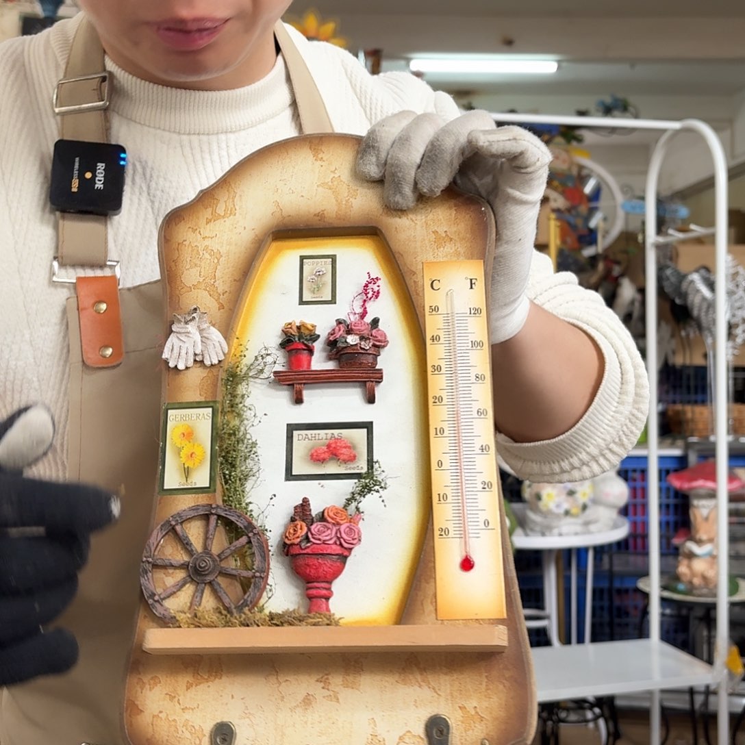 核桃木/黑胡桃（胡桃木）