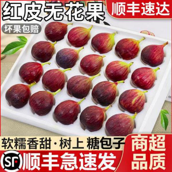 【顺丰包邮】四川波姬红皮无花果当季新鲜水果软糯香甜树上现摘现发